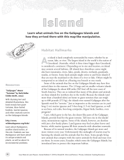 Island - Scholastic