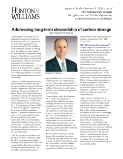 Addressing long-term stewardship of carbon storage