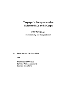 Taxpayer`s Comprehensive Guide to LLCs and S Corps 2017 Edition