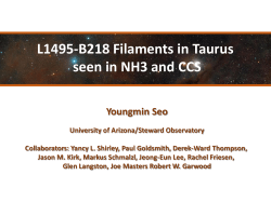 L1495-B218 Filaments in Taurus seen in NH3 and CCS