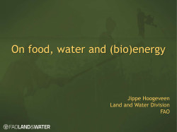 Jippe Hoogeveen - Global Bioenergy Partnership