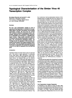 Topological Characterization of the Simian Virus 40 Transcription