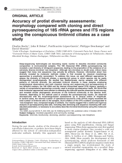 Accuracy of protist diversity assessments: morphology compared