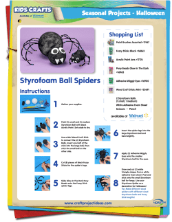 Styrofoam Ball Spiders