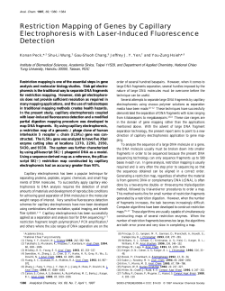 Restriction Mapping of Genes by Capillary Electrophoresis with
