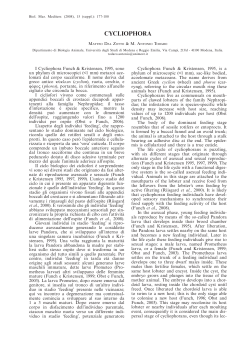 cycliophora