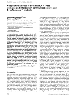 Cooperative kinetics of both Hsp104 ATPase - Lindquist Lab