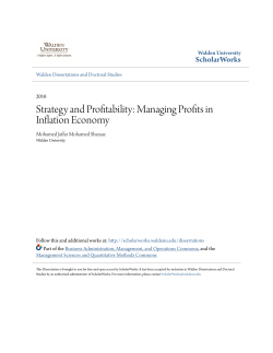 Strategy and Profitability: Managing Profits in Inflation Economy