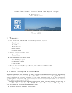 Mitosis Detection in Breast Cancer Histological Images