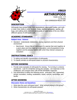 arthropods - The Described and Captioned Media Program
