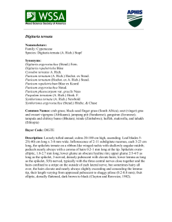 Digitaria ternata - Weed Science Society of America