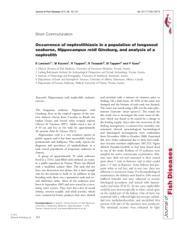 Occurrence of nephrolithiasis in a population of longsnout seahorse