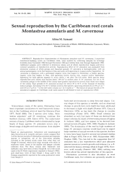Sexual reproduction by the Caribbean