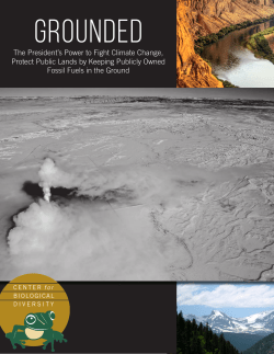 Grounded: The President`s Power to Fight Climate Change, Protect