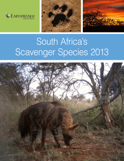 South Africa`s Scavenger Species 2013