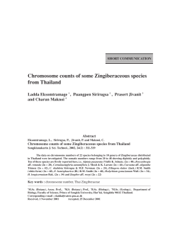 Chromosome counts of some Zingiberaceous species from Thailand