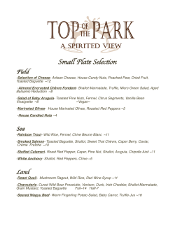 Small Plate Selection