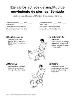 Active Leg Range of Motion Exercises: Sitting