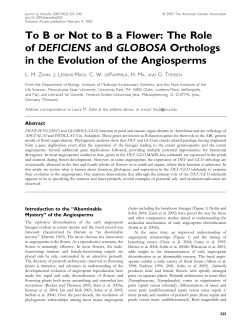 To B or Not to B a Flower: The Role of DEFICIENS and GLOBOSA