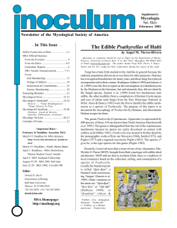 The Edible Psathyrellas of Haiti