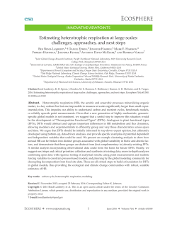 Estimating heterotrophic respiration at large scales