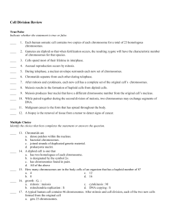Cell Division Review