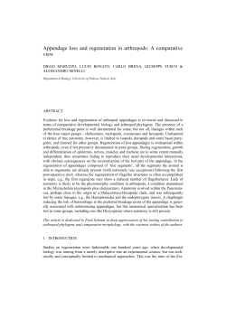 Appendage loss and regeneration in arthropods: A comparative view
