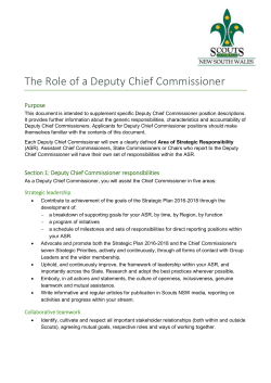 The Role of a Deputy Chief Commissioner
