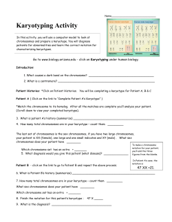 Karyotyping Activity (internet)-1