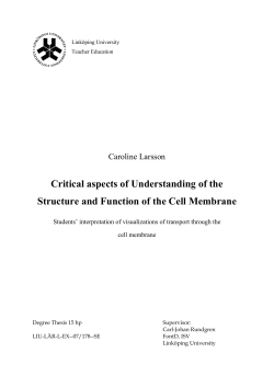 Critical aspects of Understanding of the Structure and Function of