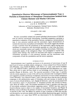Quantitative Electron Microscopy of Intracytoplasmic Type A
