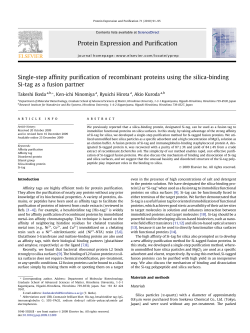 Single-step affinity purification of recombinant proteins using the