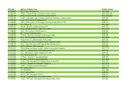 AGI code Agrisera antibody name Product number AT1G01040