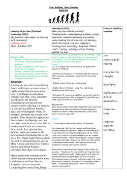 Evolution Meduim Term Plan - Collaton St Mary CofE Primary