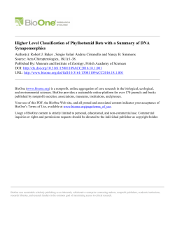 Higher Level Classification of Phyllostomid Bats with a Summary of