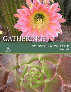 gatherings - Desert Botanical Garden