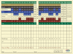 Hole 1 2 3 4 5 6 7 8 9 Out 10 11 12 13 14 15 16 17 18 In Tot Par 4 3
