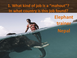 1. What kind of job is a &ldquo;mahout&rdquo;? In what country is this job found?