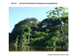 Feb 13 Primary Productivity: Comparison among Biomes