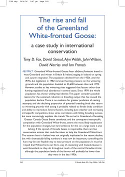 The rise and fall of the Greenland White