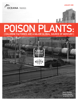 the Report