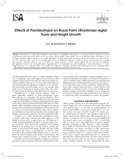Effects of Paclobutrazol on Royal Palm (Roystonea regia) Trunk and