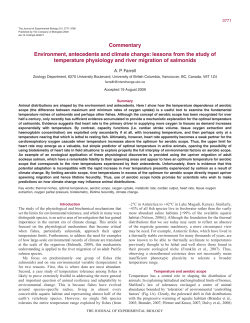 Commentary Environment, antecedents and climate change