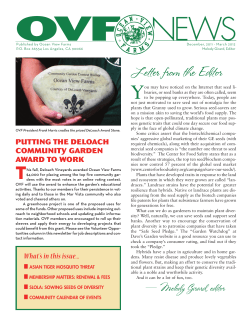 Letter from the Editor