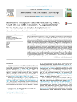 Staphylococcus aureus glucose-induced biofilm