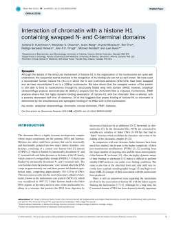 Interaction of chromatin with a histone H1 containing swapped N