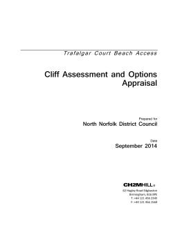 Trafalgar Court Beach Access Cliff Assessment and Options Appraisal