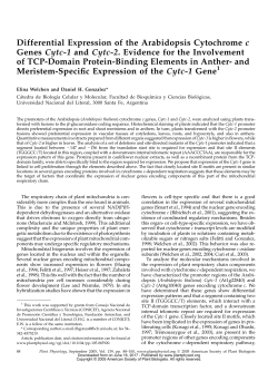 Differential Expression of the Arabidopsis Cytochrome c Genes Cytc