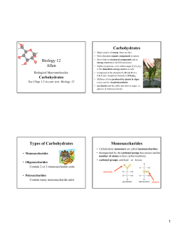 Biology 12 Allen Carbohydrates Types of Carbohydrates