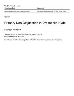 Primary Non-Disjunction in Drosophila Hydei